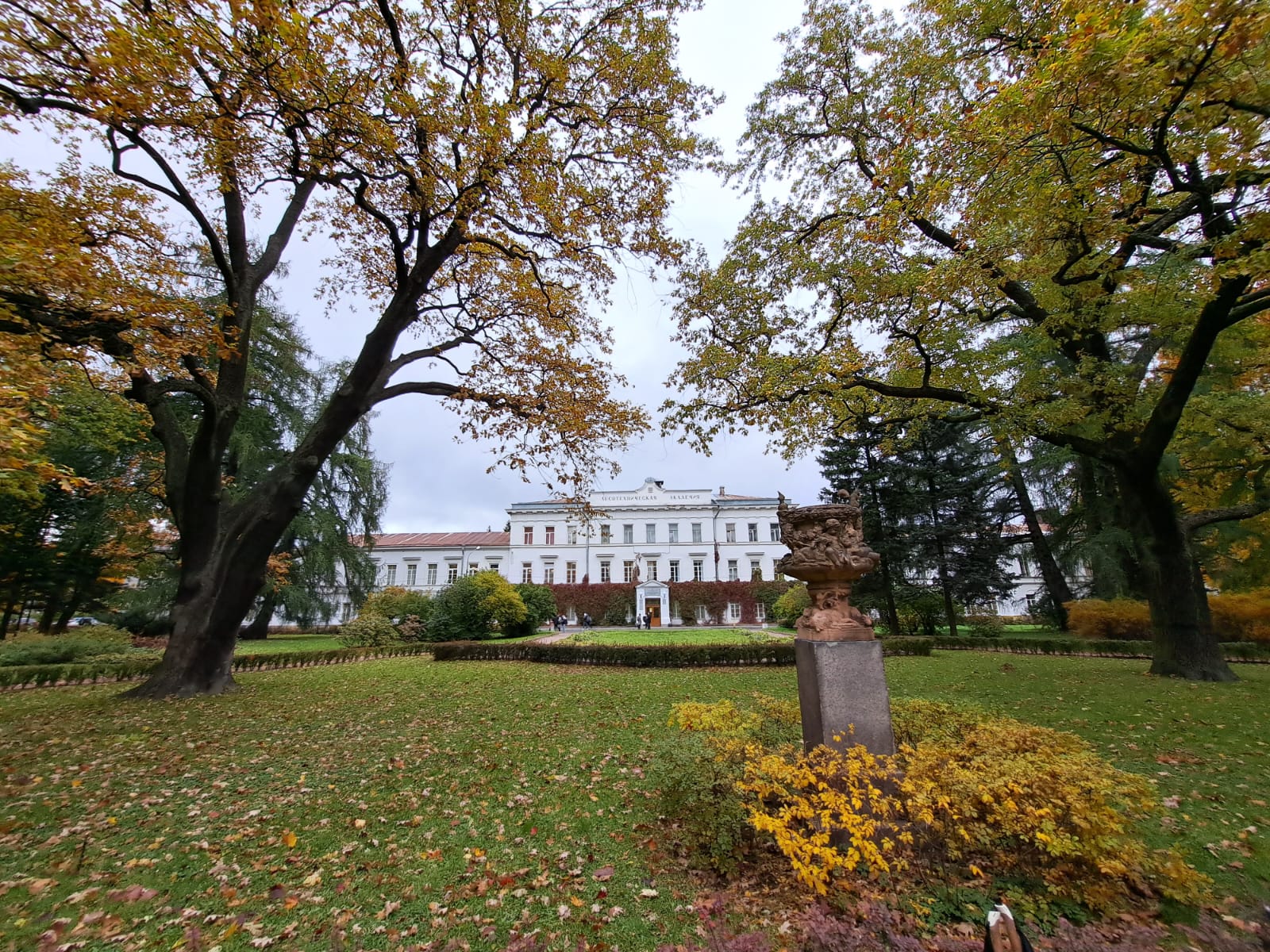 Колледж лесотехнической академии спб